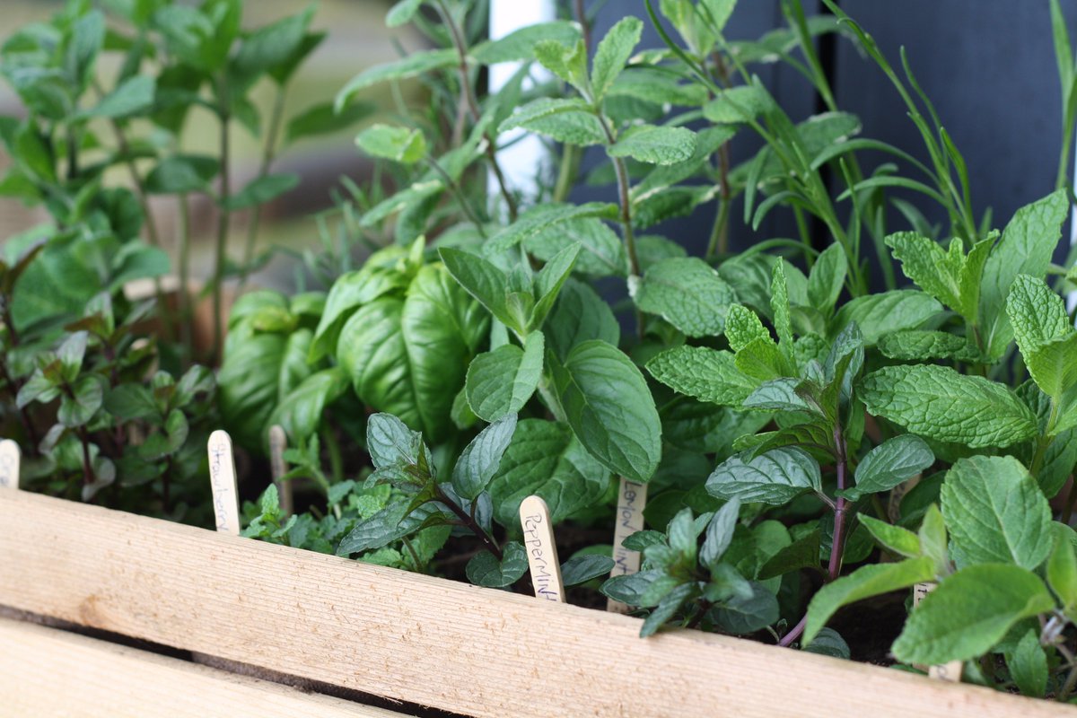 April_Point's tweet image. The April Point Spa is open until Sept. 30, offering a full menu of spa services AND herb-flavoured water. See you soon! #treatyourself