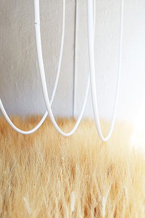 MidCoast Record tweet media