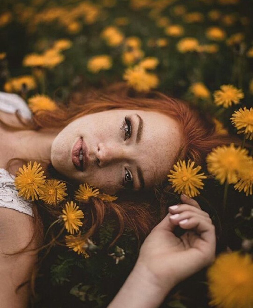 Steeletty's tweet image. Podrán cortar todas las flores, pero no podrán detener la primavera.