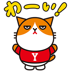terurukitasenj's tweet photo. 😹#緊急台数限定Ymobile😹
#S2 #SE #503KC
3連休台風が近づいていてお店に来れない(T_T)
そんなあなたの為に‼
本日から4日連続Ymobile祭りや~!(^^)!
ご連絡はお早めにお願い致します‼
#テルル北千住店
#テルル大泉学園
#テルル町屋店 https://t.co/Wm4N8AjCdV