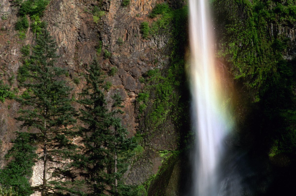 ForestServiceNW's tweet image. We so appreciate the interest in helping the Gorge! Visit Nat'l Forest Fdn to learn how you can! nationalforests.org #EagleCreekFire