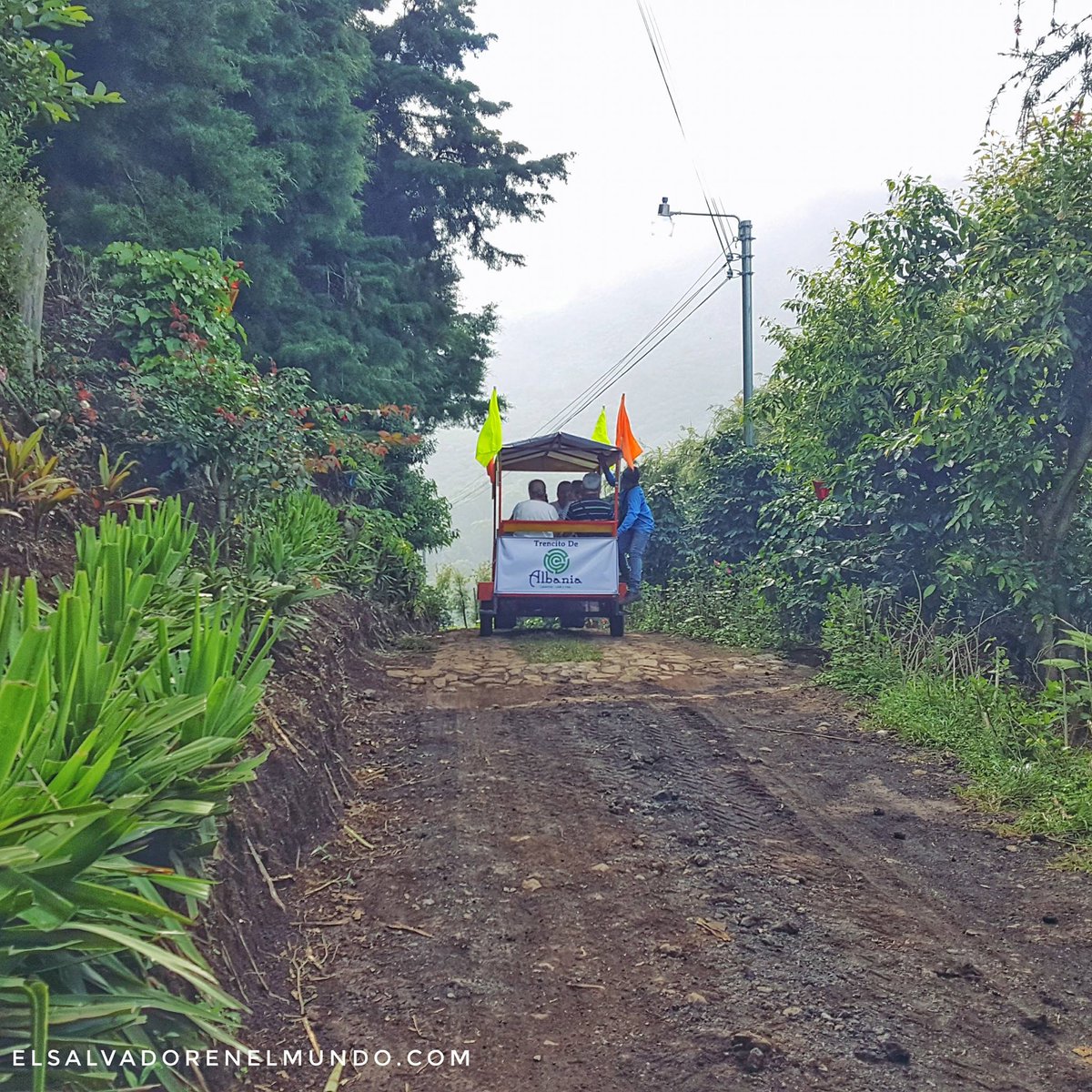 ESAmundo's tweet image. Café Albania un laberinto en Apaneca abierto jueves a domingo 8:00 am a 6:00 pm Fotos/ESAmundo: V. Méndez