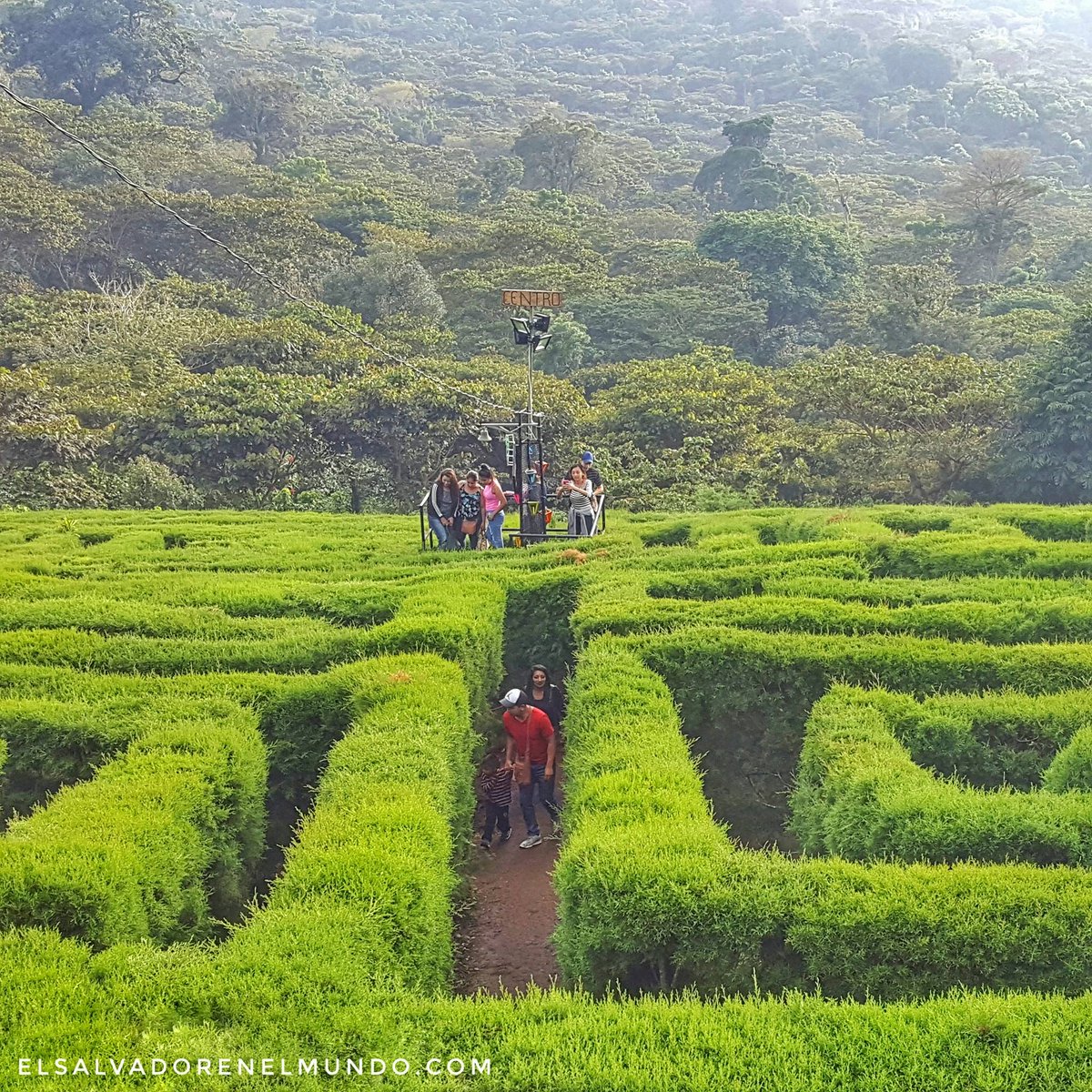 ESAmundo's tweet image. Café Albania un laberinto en Apaneca abierto jueves a domingo 8:00 am a 6:00 pm Fotos/ESAmundo: V. Méndez