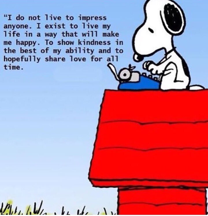 Alex (@gay_alex_xxx) | Twitter