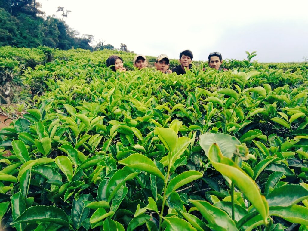 ian (@ardianthoro) on Twitter photo 