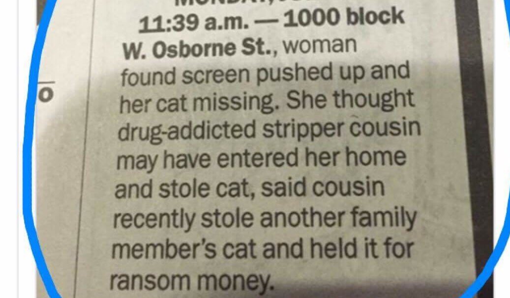 SrirachaFrank's tweet photo. And in other news.. #FamilyFirst #catsbeingbasic https://t.co/v02R04TL4G