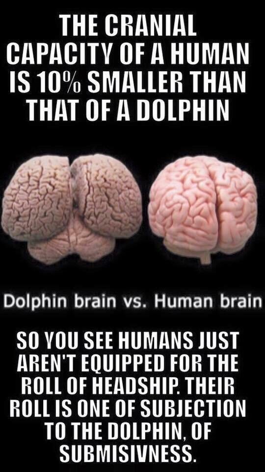 Reasoning_Mind tweet picture