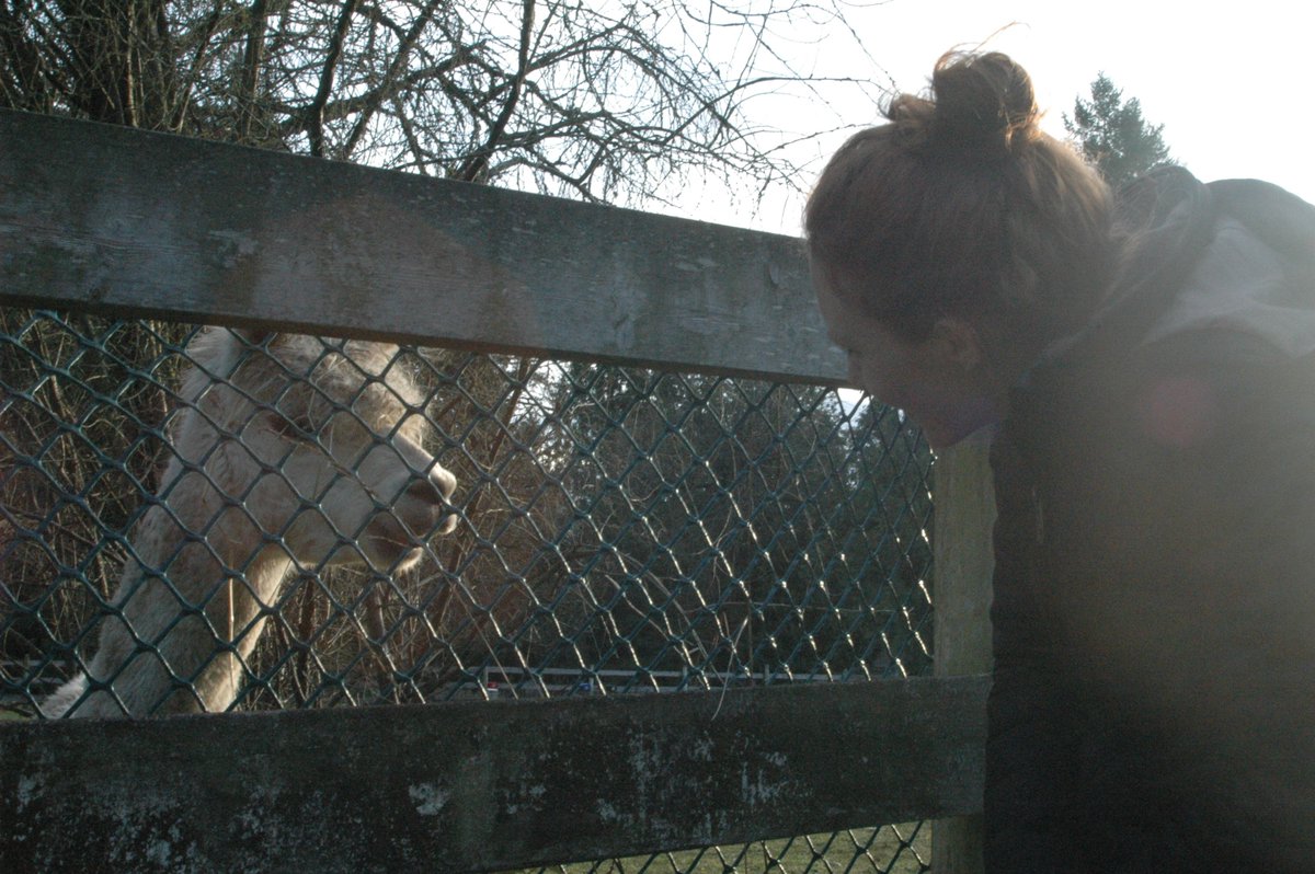 _WhatWeOnceWere's tweet image. One week to go! #wwow #releasedate #countdown #webseries #cast #crew #bts #tbt #producer #setlife #vancouver #bcfilm #scifi #postapocalypse