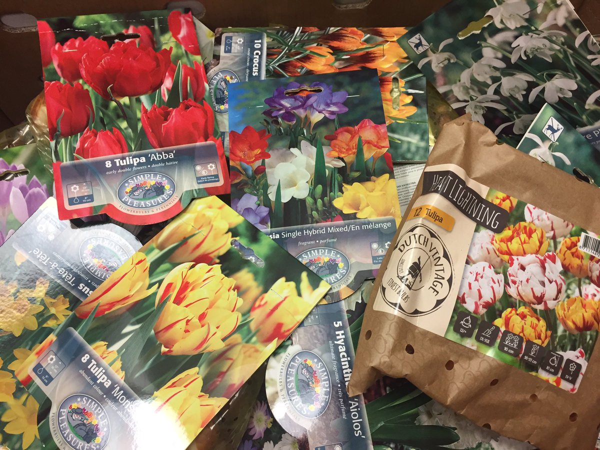 cibcef's tweet photo. CiB delegates would like to thank our friends at Vanhof & Blokker for gifting everyone with beautiful flower bulbs! #cib2017 @bbradleyvhbk https://t.co/S8HHxnQftX