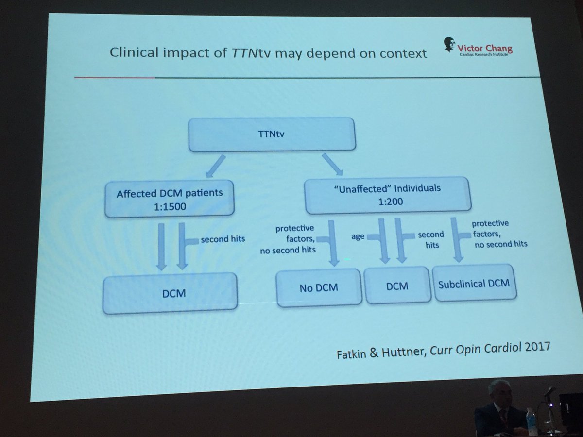 Prof Diane Fatkin: Context and other factors should be considered when assessing TTNtv in #dcm and asymptomatic pts #APHRS2017