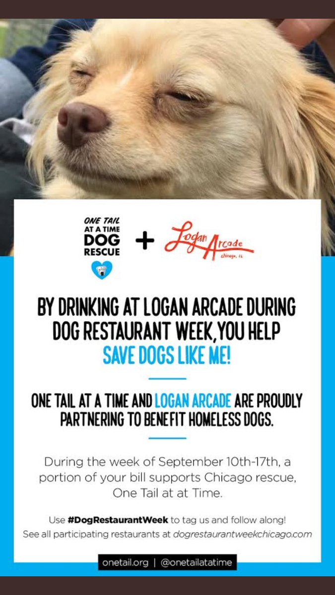 LoganArcade's tweet photo. The @onetailatatime Dog Restaurant Week is still on! Proceeds from every drink you purchase here this week are being donated to the doggies! https://t.co/pnR3wDFf6r