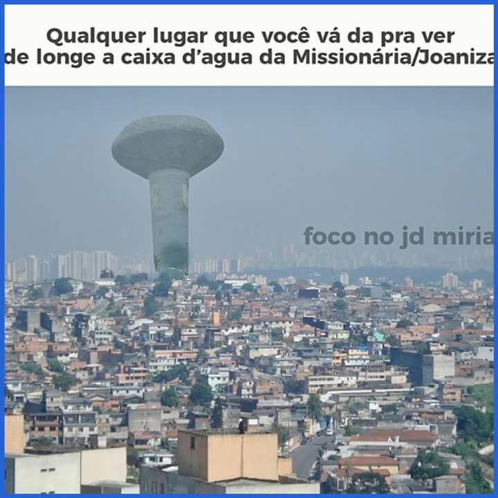 shechelduarte's tweet image. 