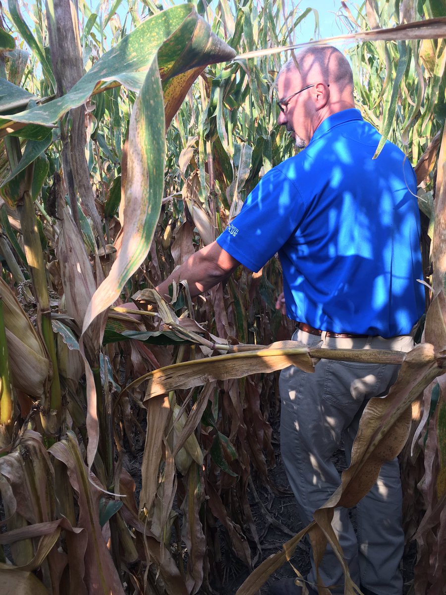 jamieleavitt92's tweet image. #twitterlessRob checking stalk integrity in NW MO today