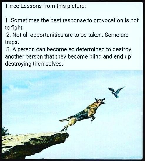 NoAttachment's tweet image. 