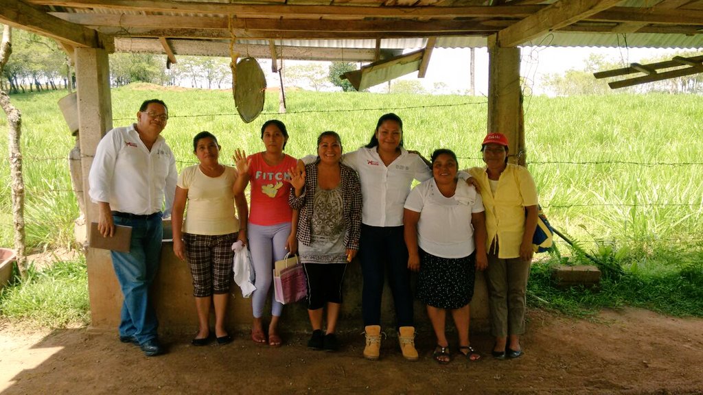 GriselEstrada_'s tweet photo. Crianza de bovinos para producción de carne y leche para #Productoras de San Jose Rio Manso, Oaxaca #ElCampoEnNuestrasManos #ProdPrimaria https://t.co/HRxOSksFDS