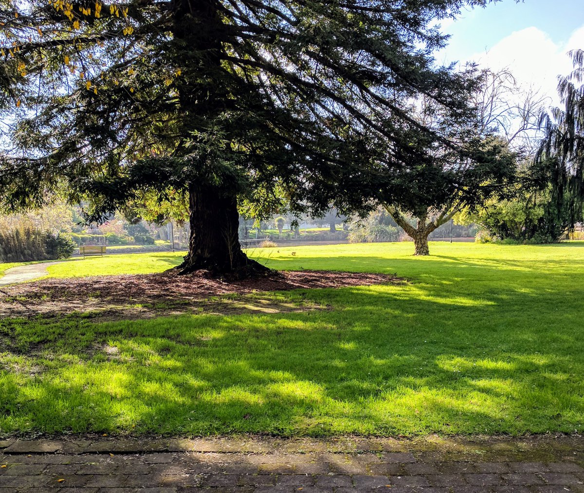 IamEmilyGrout's tweet photo. Day two of our on campus writing retreat, and my productivity is through the roof 🤓📝 Thanks @waikato #StudentLearning https://t.co/MXZWtErsUe