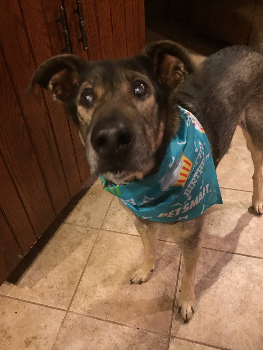My best friend turned 15 today!!!