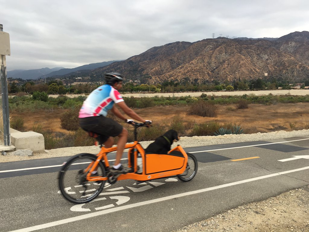 ActiveSGV's tweet photo. Dog on bike spotted on San Gabriel River Trail in #Azusa.๐๐ฝ #ActiveSGV #LarryvsHarry #SGVcounts #bikeLA https://t.co/QoBA87dEg0