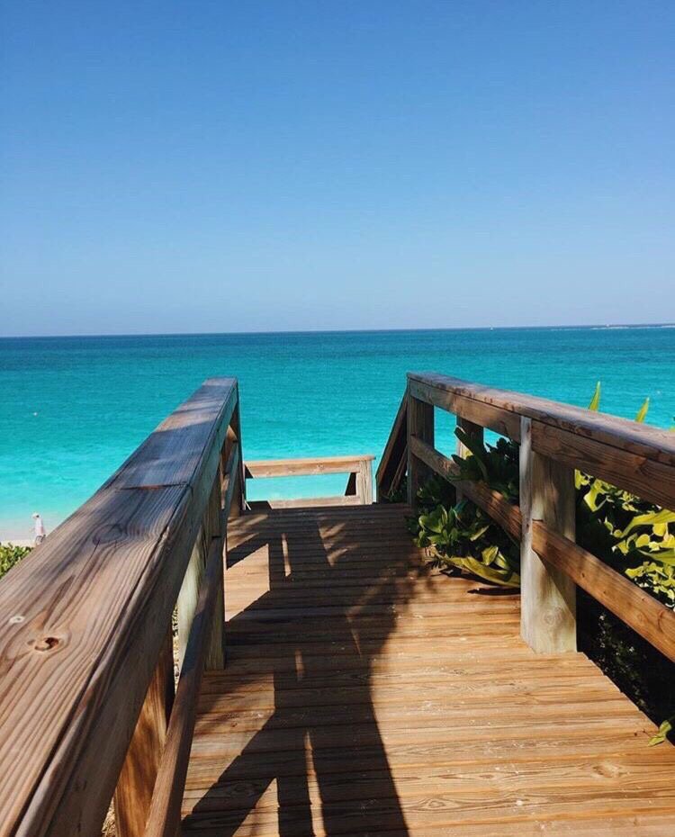 iIoveaesthetics's tweet photo. beach days https://t.co/Vh3Sz9lczN