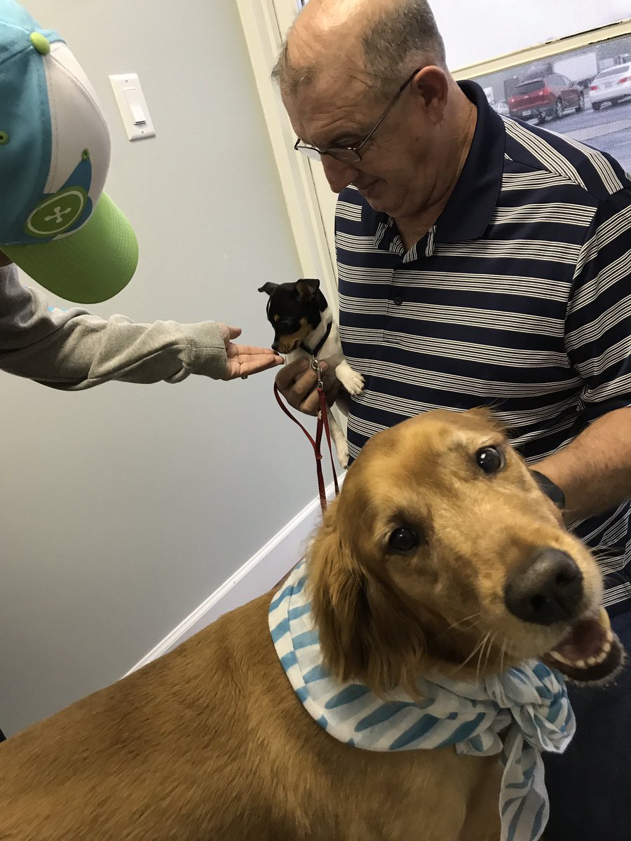 CityApparel_USA's tweet photo. Johann,our brand ambassador, therapy dog,greeter,project manager.Sporting a beautiful custom logo'd scarf. He's a fashionista
#LifeAtCity https://t.co/GWZTmkrn2E