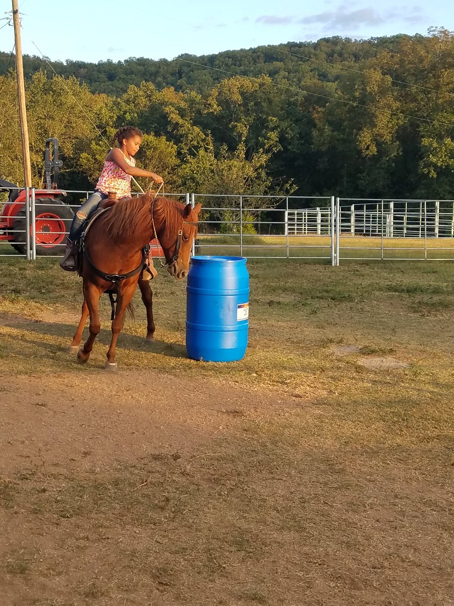 babb_meagan's tweet photo. Nat working her horse https://t.co/cekWAOrjFV