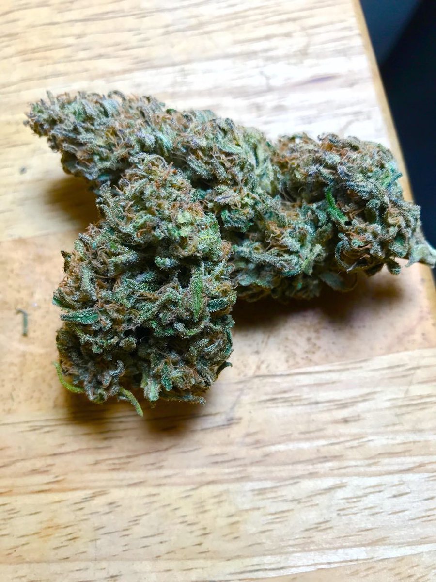 420's tweet photo. Green Queen 👑👸 https://t.co/JU6B2VRGac