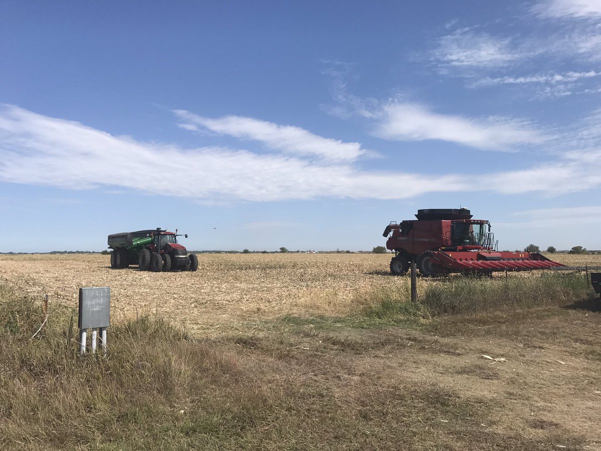 DustinOhanlon's tweet photo. #harvest2017 #p0339amt dry-land. 1st combine ride for the triplets. I am glad it's harvest time #dupontpioneer #ohanlonseed @PioneerNebr https://t.co/slI5IjpVJA