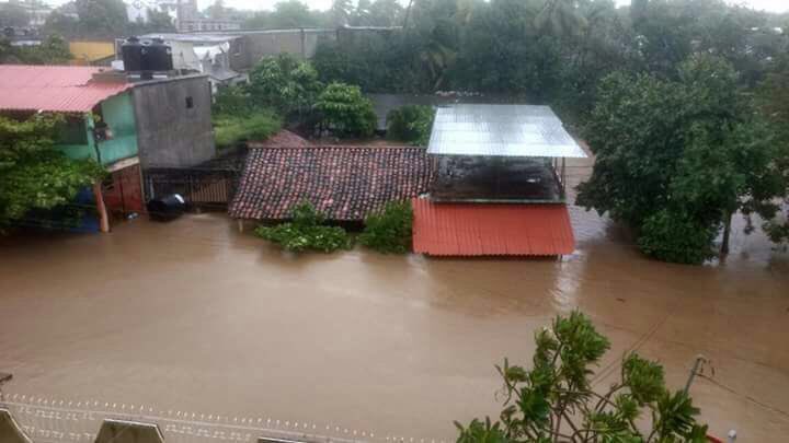 Pablo Amílcar Sandoval B tweet media