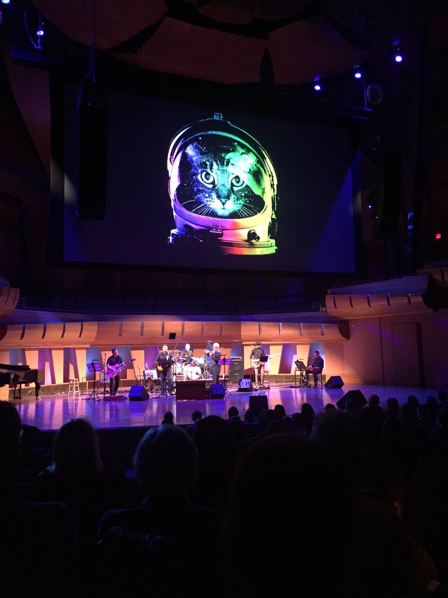 harry_historian's tweet image. At @mountroyal4u for @Beakerhead's #ScienceOfCatsAndDogs. @jayingram joined the band on strings for #StrayCatStrut!