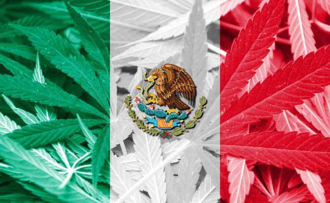 “México puede legalizar el Cannabis medicinal este diciembre” donpipadom.wordpress.com/2017/09/15/mex…