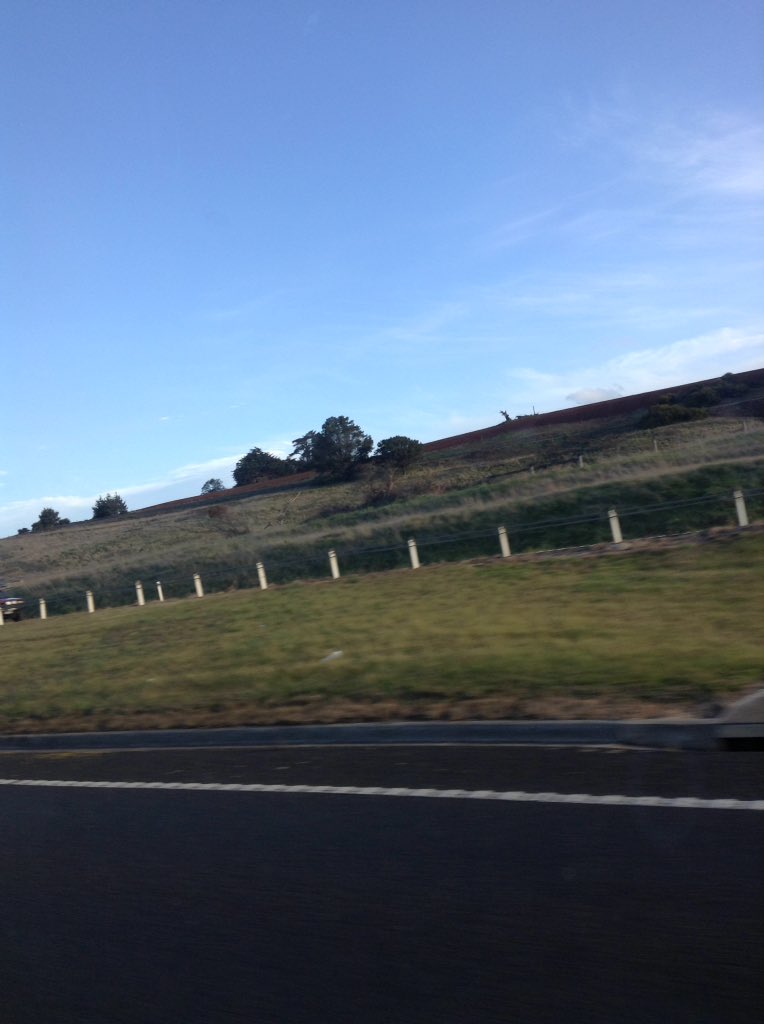 Going up to Great Lakes tassie?