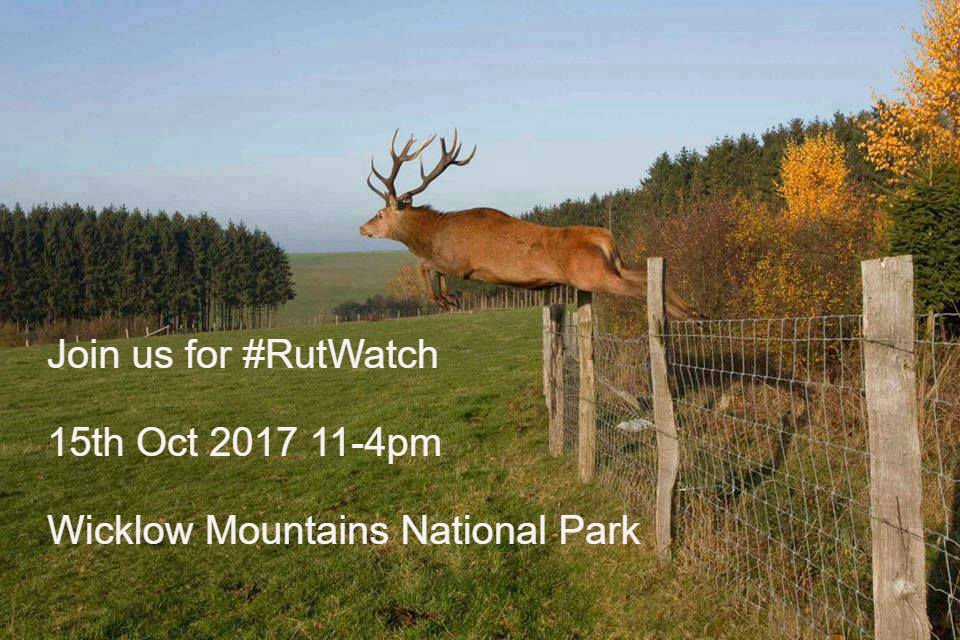 TheWicklowWay's tweet photo. #RutWatch , will you be joining us , details here https://t.co/5KNUpB4eeR
Photograph by Emmanuel Bosteels ( https://t.co/MHgF2K9FF6) https://t.co/qGY7HpOO9M