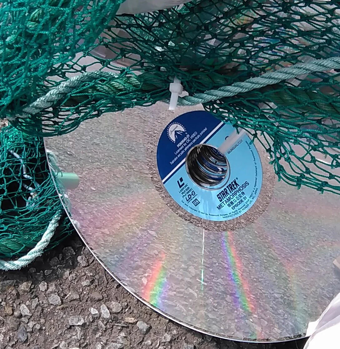 大きなCDが捨ててあるよｗ若者のツイートにレーザーディスク世代の青春が甦るｗｗｗ