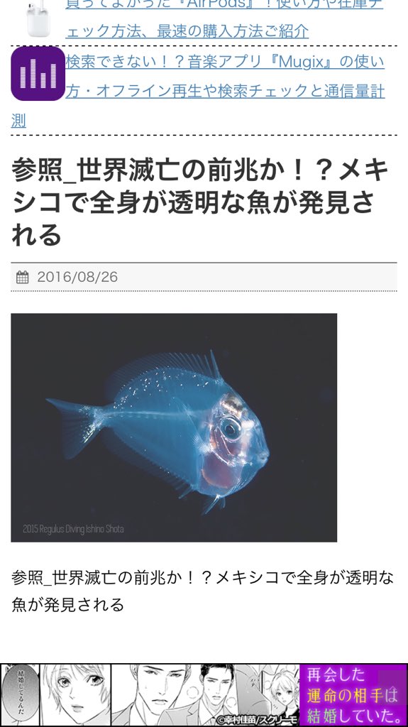 内臓がない 全身が透明な魚を発見 縦向きかと思ったら横向きでした Togetter 内臓がない 全身が透明な魚を発見 縦向きかと思ったら横向きでした Togetter
