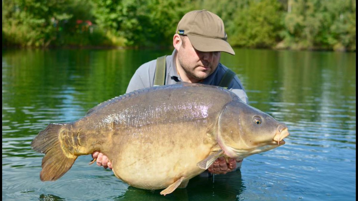 ClintBullo's tweet photo. One of the fish of 7 which was 55lb8oz #welly #uk50's#esscentialbaits #b5 https://t.co/BbYlIHownY