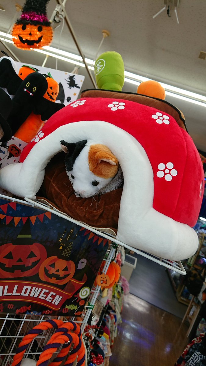 こたつベッド こたつベッド