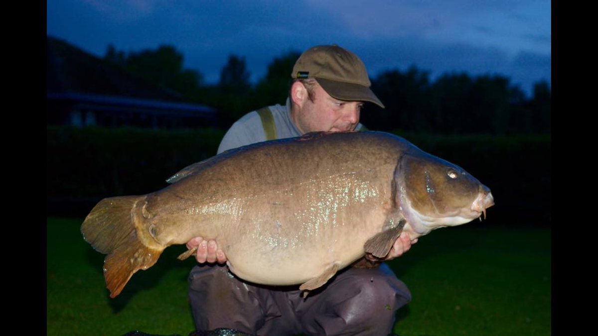 ClintBullo's tweet photo. 48lb8oz common from 7 fish at welly this week and this mirror at over 52lb and this last over 53lb #essentialbaits #uk50lbers #bigcarp https://t.co/hDIa8CzA5a