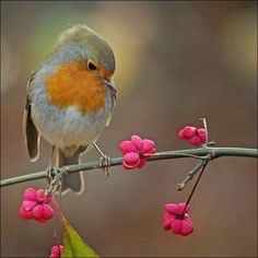 Luka Luka (@lukalukareis) on Twitter photo 