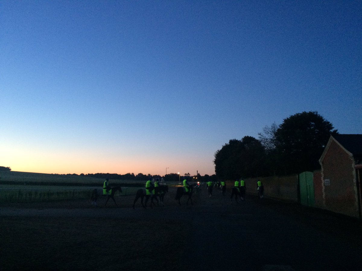 JohnWathenBerry's tweet photo. Only 6 degrees but a lovely clear still start to the day on Long Hill @NewmarketGallop for @Roy__Rocket & #WastedSunsets @lulabellmc https://t.co/XuQCZ8CSfJ