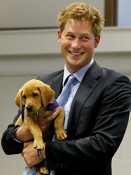 Happy Birthday Prince Harry!

Here he is with a puppy  You re welcome. J&Bx 