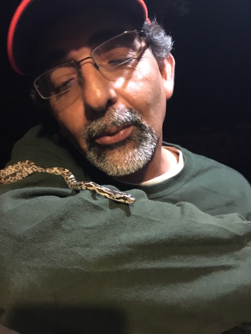 aherreraaaaa's tweet photo. "I found a friend inside the cabin I stay in" https://t.co/Qq7G45Fuhg