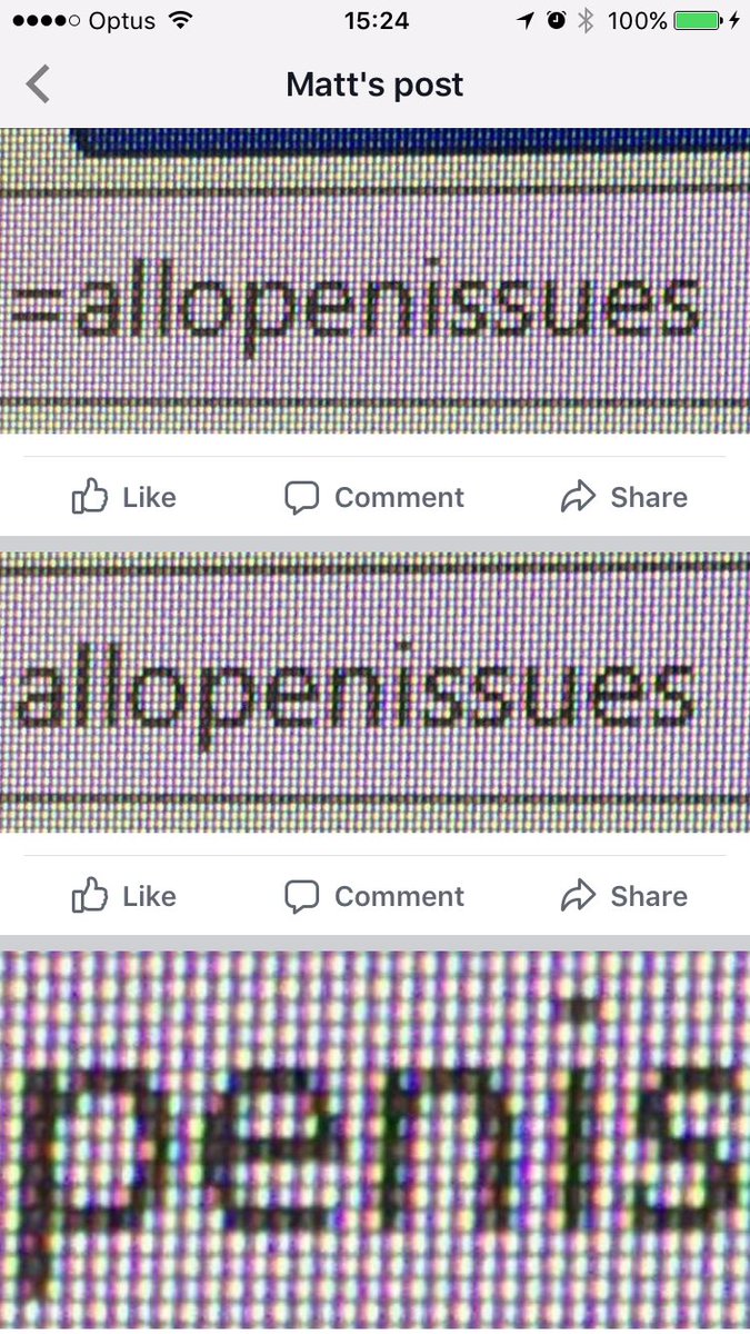 PlentyFishwick's tweet photo. Might be raining in Melbourne, but a weblink brought  sunshine of laughter into my afternoon

#allopenissues
#allo #penis #sues
#FridayFun https://t.co/7LCk01nzZC