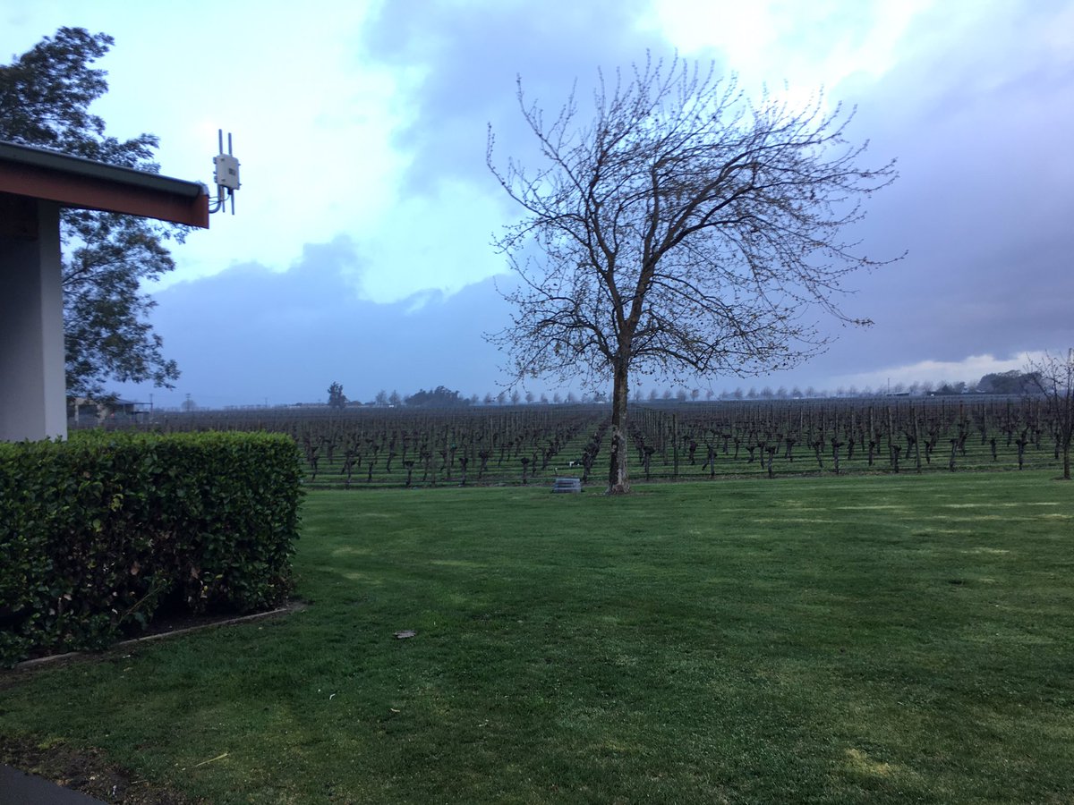 hvrectanus's tweet image. Marlborough vineyards