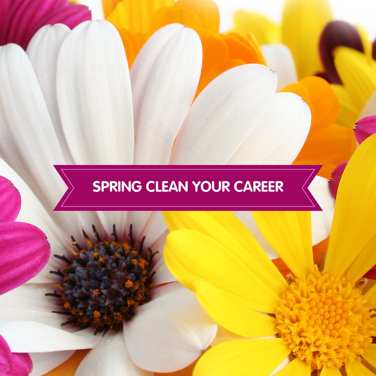 CustomisedRTO's tweet image. Even careers need reinvigorating. "Spring is the time for of plans and projects." #leotolstoy #career #springclean ow.ly/28wZ30faILR