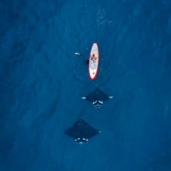 JackeryPower's tweet photo. You never know what’s just around the corner. Pack your Jackery #PortableCharger, and be prepared for anything. 💪 https://t.co/upFxNEqp5e