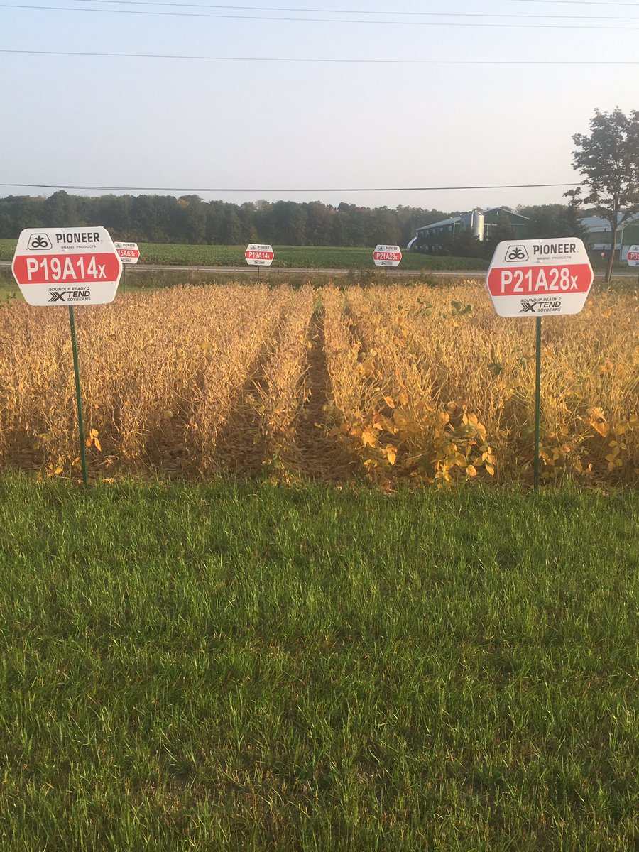 afqgowan's tweet photo. Sweating wheat acres in fall 17?  Consider diversifying your package with these new additions to the lineup#dupontpioneer https://t.co/M56j3LaJZW