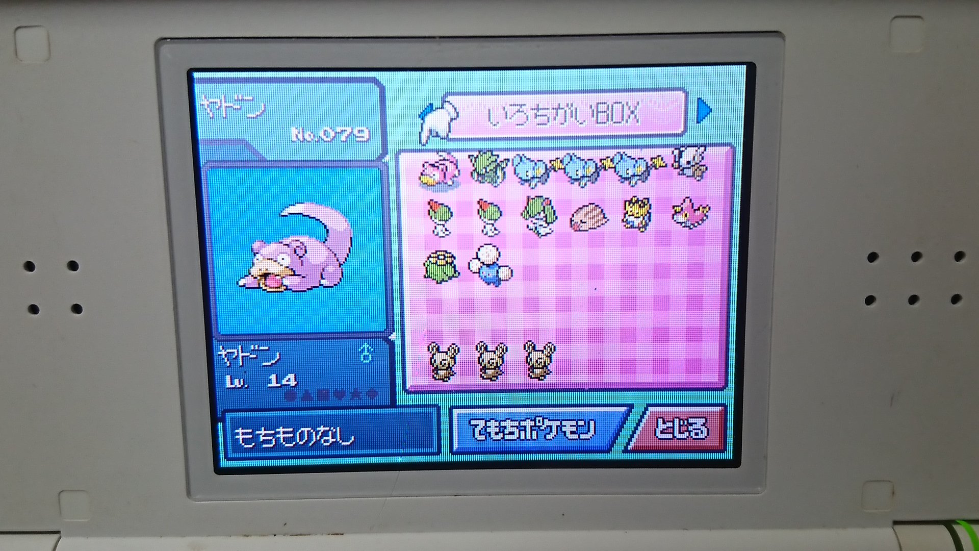 もみじまんじゅう 色ポケモン配布します ポケトレ産の色違い ヤドンからワタッコまでの14匹になります 経験値が入ってしまっている個体がいるので その個体は努力値をリセットしてからお渡しします ボールや性別 性格など気になることがあればお気軽にリプ もみじまんじゅう 色ポケモン配布します ポケトレ産の色違い ヤドンからワタッコまでの14匹になります 経験値が入ってしまっている個体がいるので その個体は努力値をリセットしてからお渡しします ボールや性別 性格など気になることがあればお気軽にリプ
