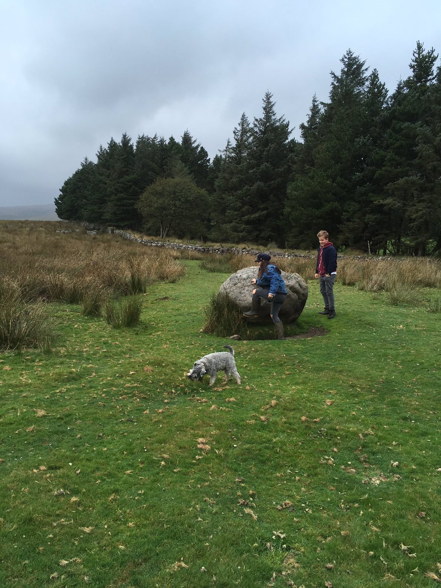 schnauzergeorge's tweet photo. Me, my bro and sis on #Dartmoor https://t.co/8TJvPHONkV