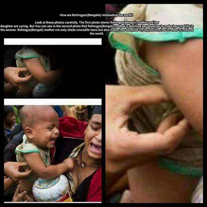 The so-called Rohingyas' crocodile tears