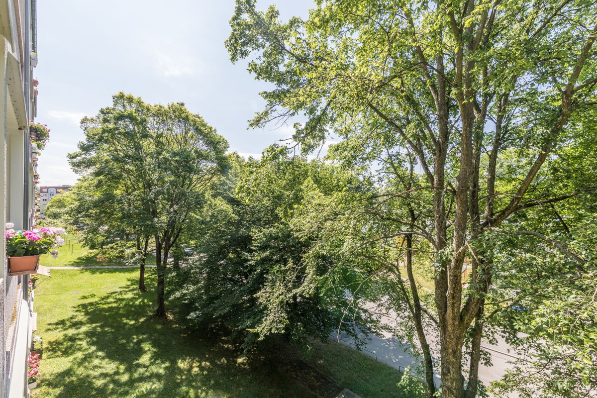 WohnungChemnitz's tweet image. MINI-LOFT in Holzoptik am morgigen Samstag geöffnet
#MiniLoft #Loft #Chemnitz #Zeisigwald #SchönesHolz #IchUndMeinHolz #Holzoptik